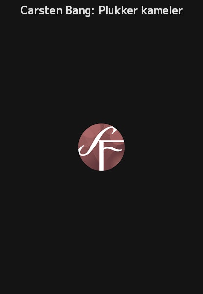 Carsten Bang: Plukker kameler