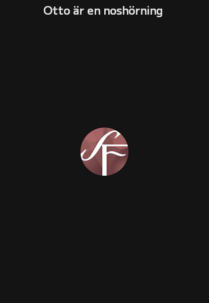 Otto är en noshörning