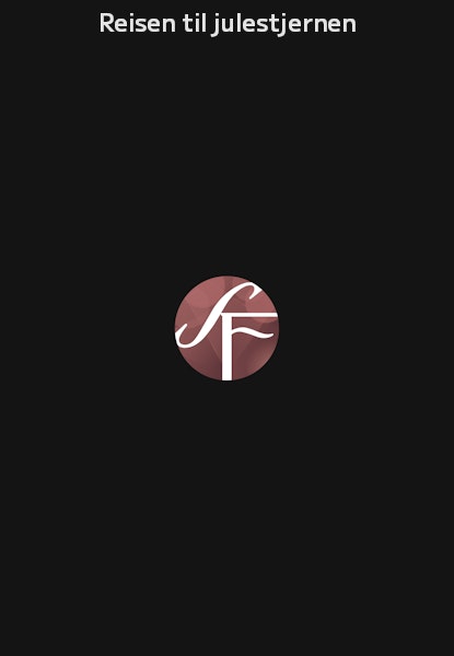 Reisen til julestjernen