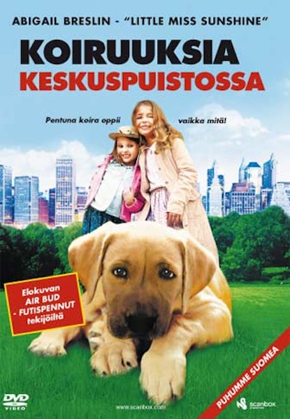 Koiruuksia keskuspuistossa