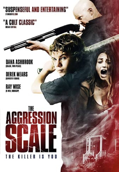 The Aggression Scale
