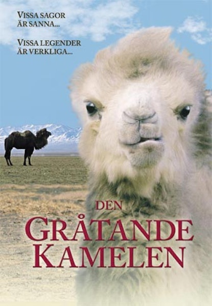 Historien om den gråtende kamelen