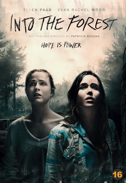 Into the Forest