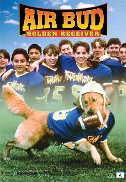 Air Bud - Golden Receiver