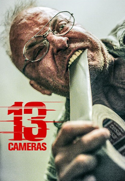 13 Cameras