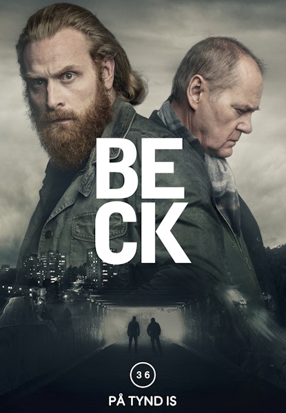 Beck 36 - Den tynde is