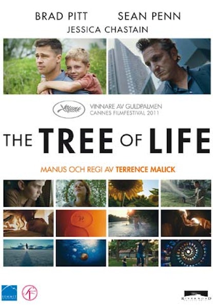 The Tree Of Life