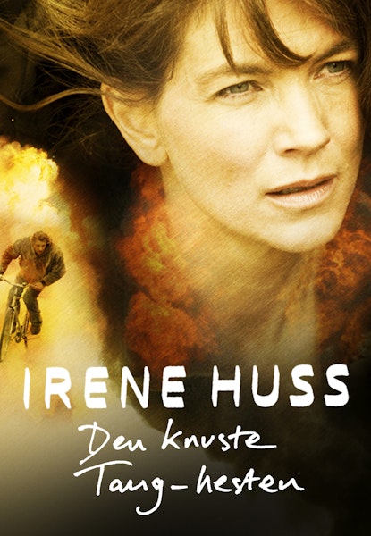 Irene Huss - Den knuste Tang-hesten
