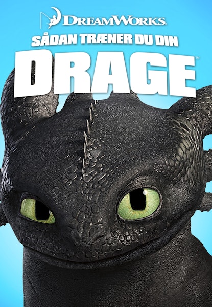 Sådan træner du din drage