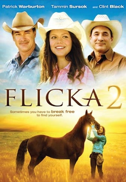 Flicka 2 - Venner For Altid