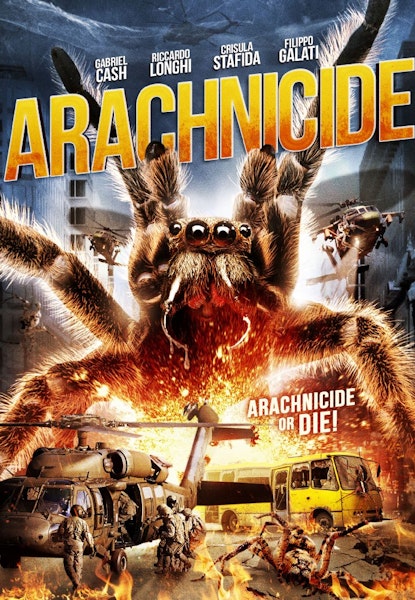 Arachnicide
