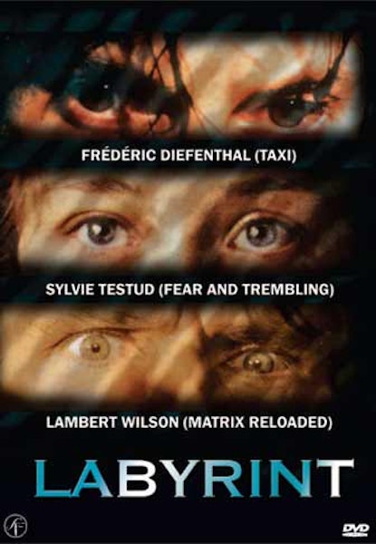 Intellektets labyrint