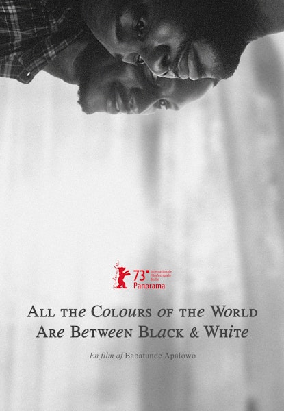 All the Colours of the World are Between Black and White