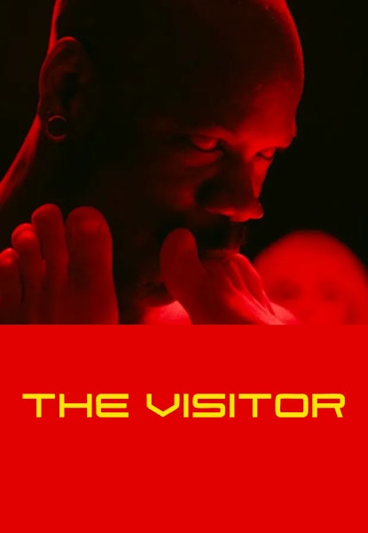 The Visitor