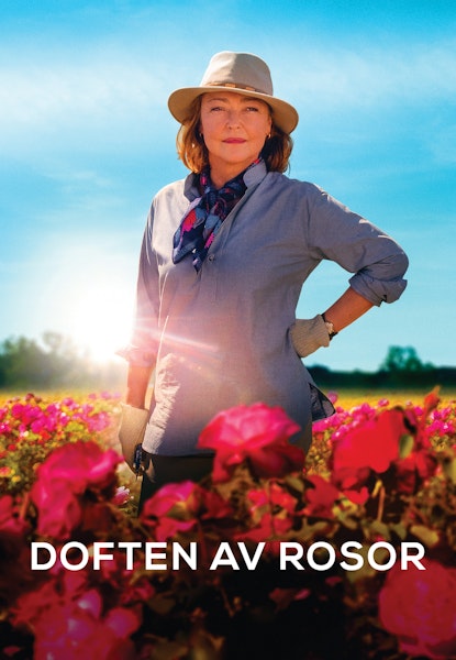 Doften av rosor