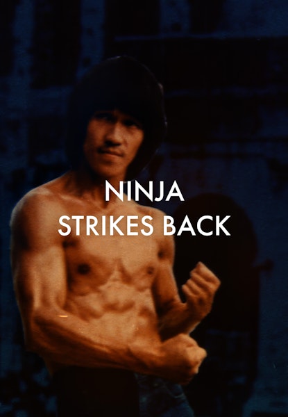 The Ninja Strikes Back