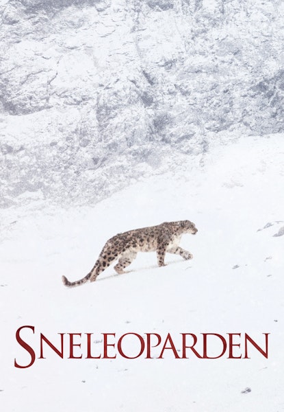 Sneleoparden