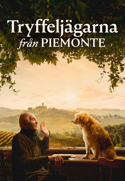 Tryffeljägarna från Piemonte