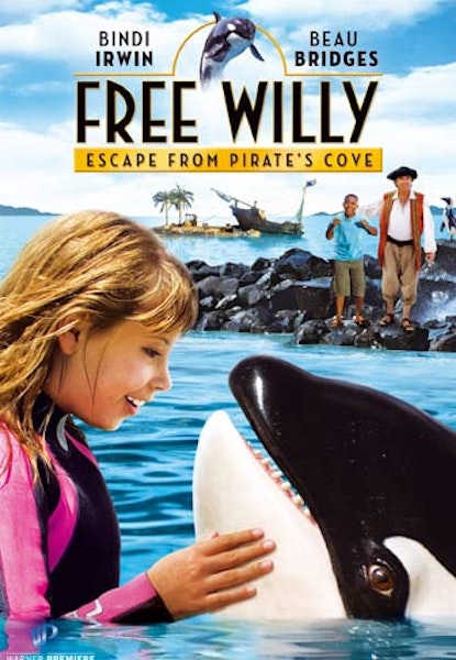 Free Willy 4: Escape From Pirate's Cove