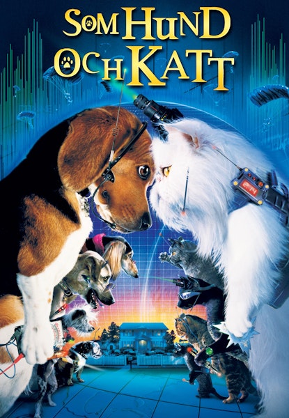 Som hund och katt