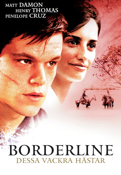 Dessa vackra hästar