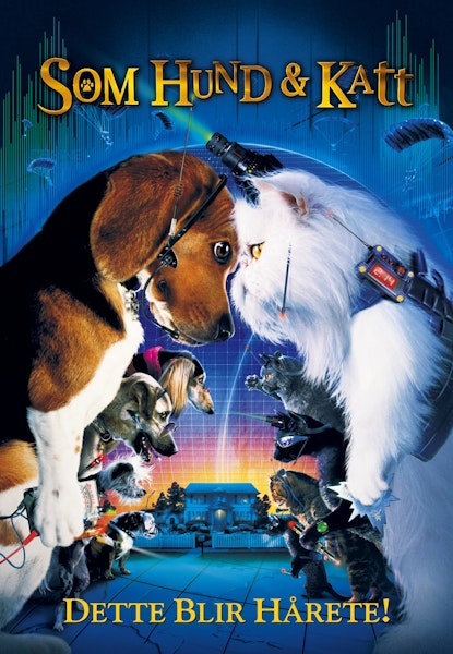 Som hund & katt