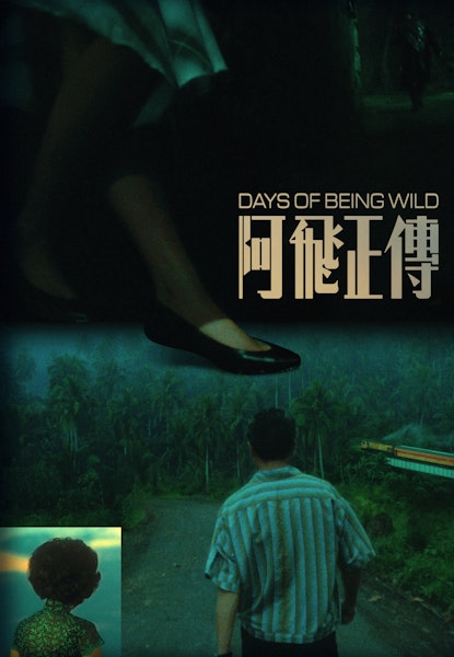 Days of Being Wild