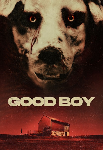 Good Boy