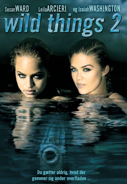 Wild Things 2