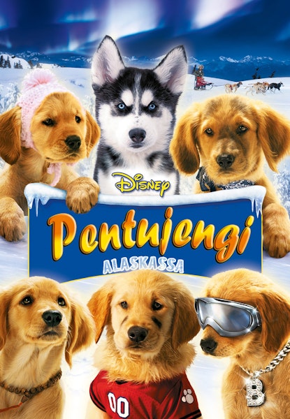 Pentujengi Alaskassa