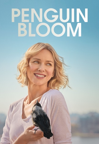 Penguin Bloom