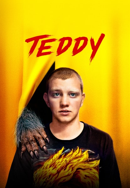 Teddy