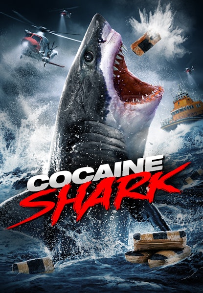 Cocaine Shark