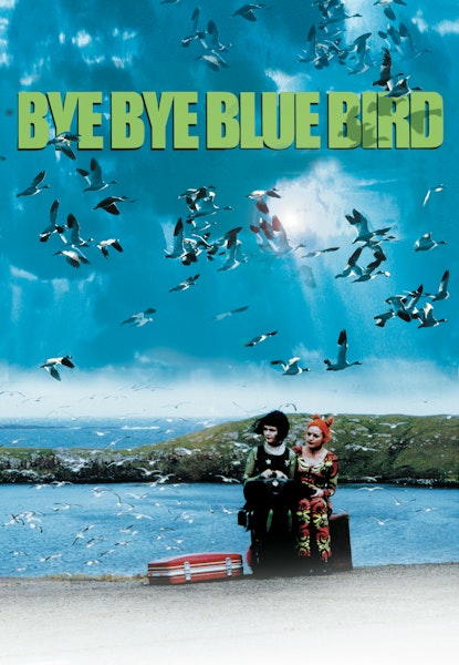 Bye Bye Blue Bird