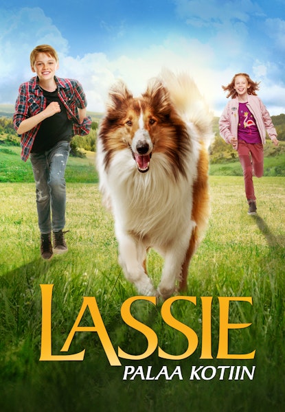 Lassie palaa kotiin
