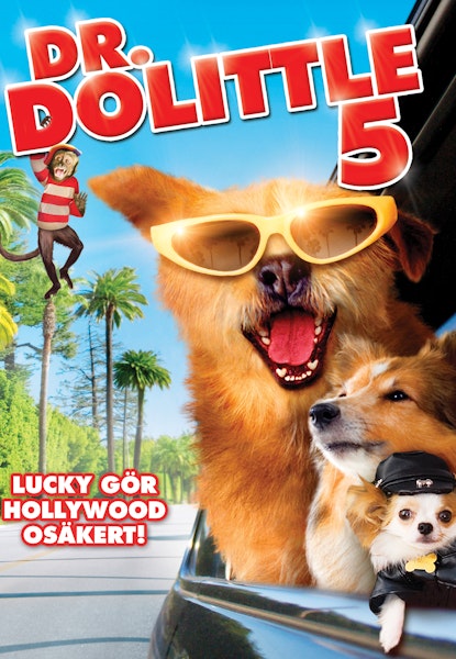 Dr. Dolittle 5: Lucky gör Hollywood osäkert!