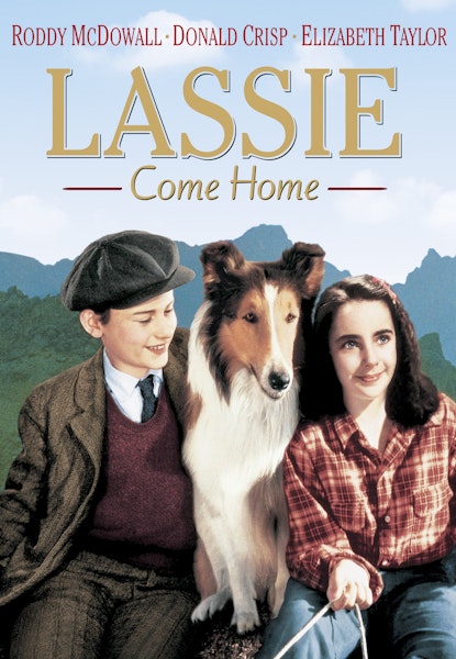 Lassie på äventyr