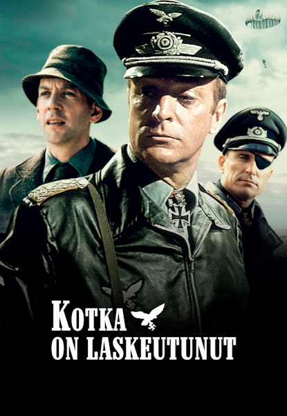 Kotka on laskeutunut