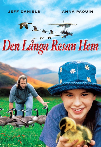 Den långa resan hem