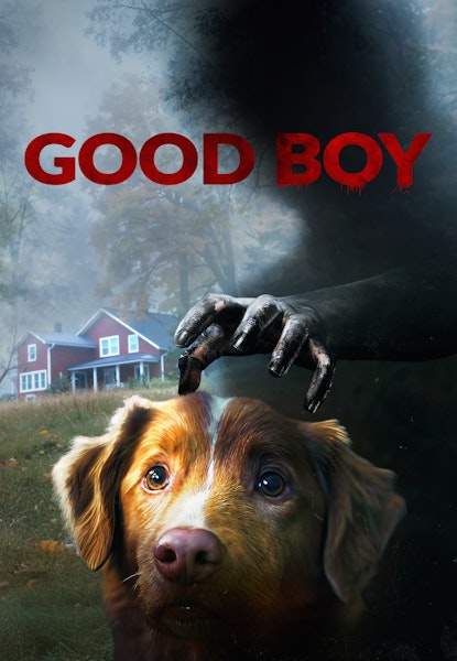 Good Boy