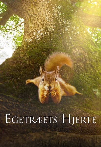 Egetræets hjerte