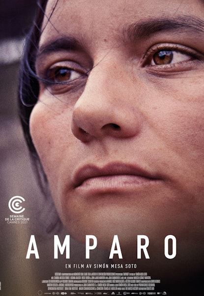 Amparo