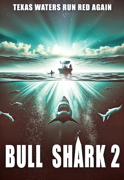 Bull Shark 2