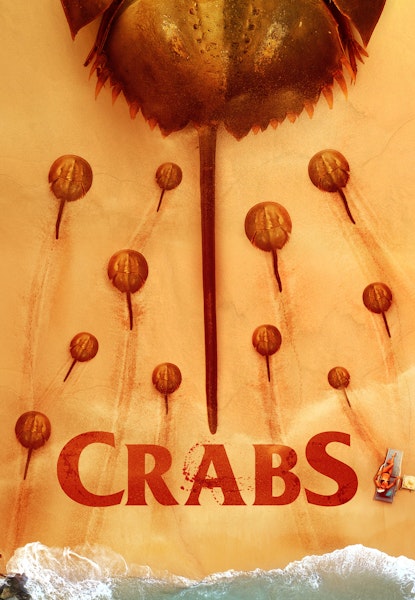 Crabs!