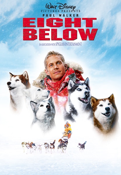 Eight Below