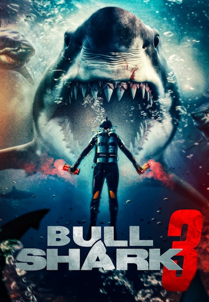 Bull shark 3