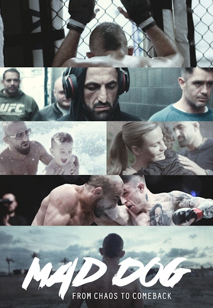 Mad Dog: From Chaos to Comeback