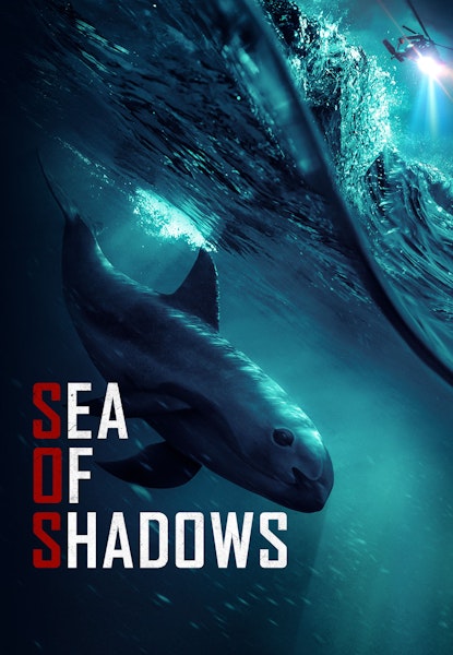 Sea of Shadows