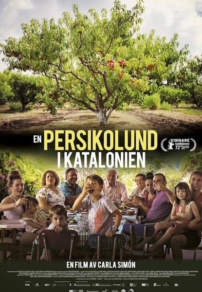 En persikolund i Katalonien