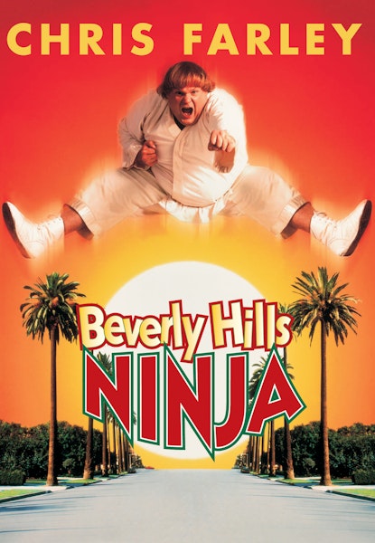 Beverly Hills Ninja
